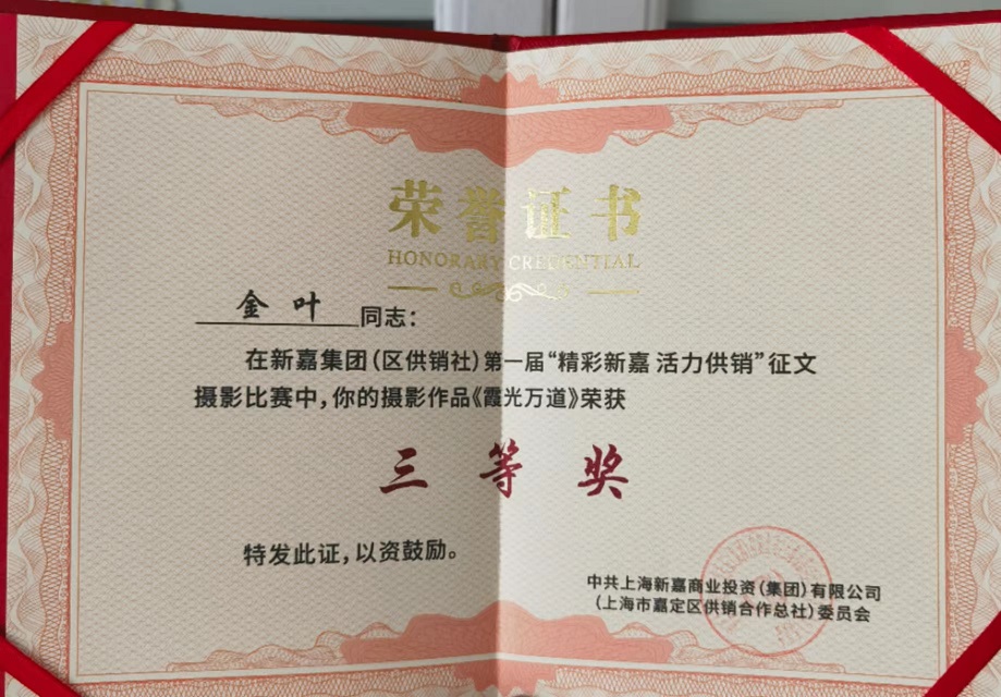 2023年摄影三等奖证书
