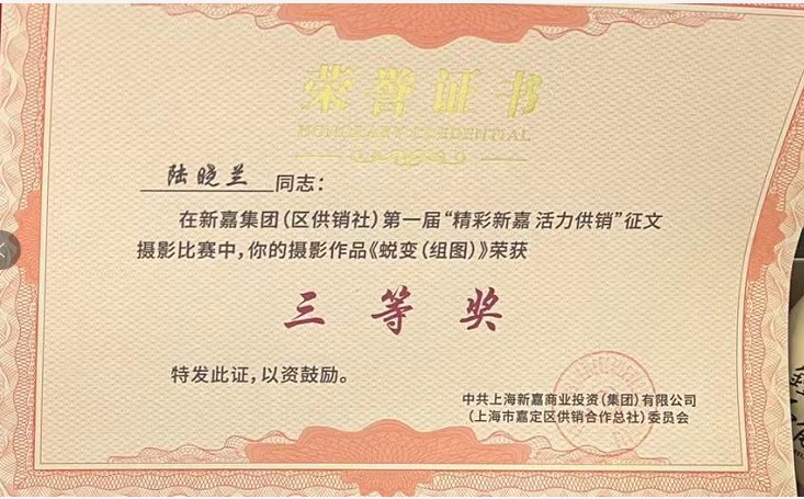 2023年摄影三等奖证书