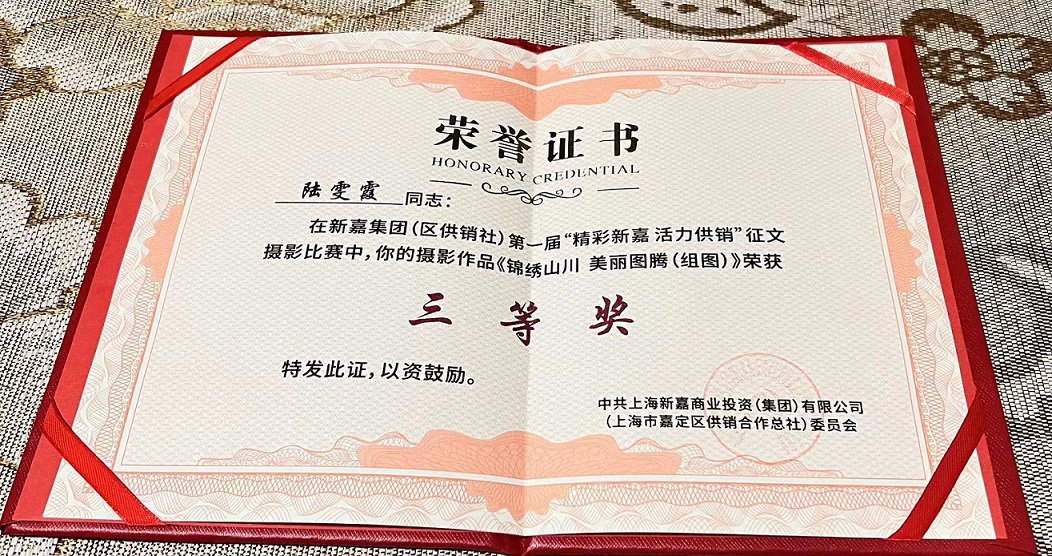 2023摄影三等奖证书